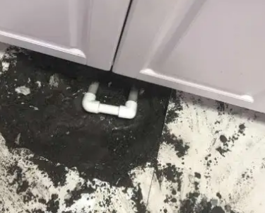 当雄查漏水哪家好