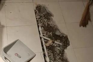 当雄卫生间漏水检测电话